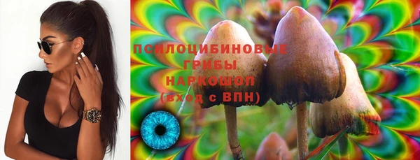 молекула духа Володарск