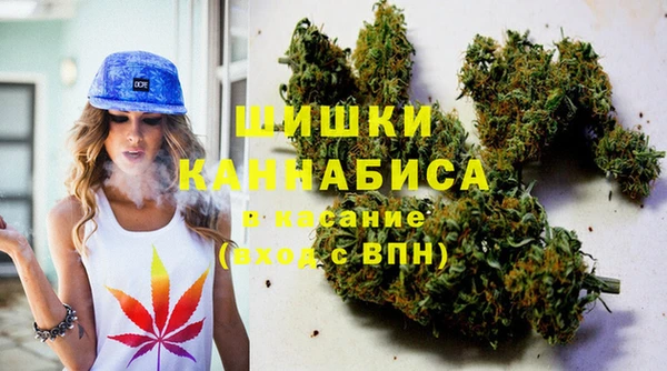 ПСИЛОЦИБИНОВЫЕ ГРИБЫ Сосновка
