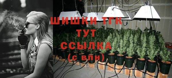 молекула духа Володарск