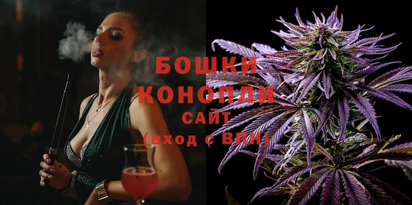 ПСИЛОЦИБИНОВЫЕ ГРИБЫ Сосновка