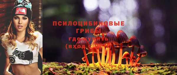 молекула духа Володарск