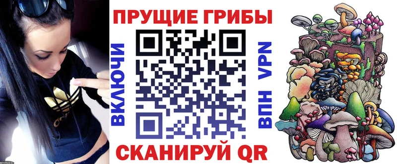 магазин продажи наркотиков Снежинск Псилоцибиновые грибы Psilocybe