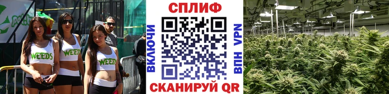 Бошки Шишки LSD WEED купить Снежинск